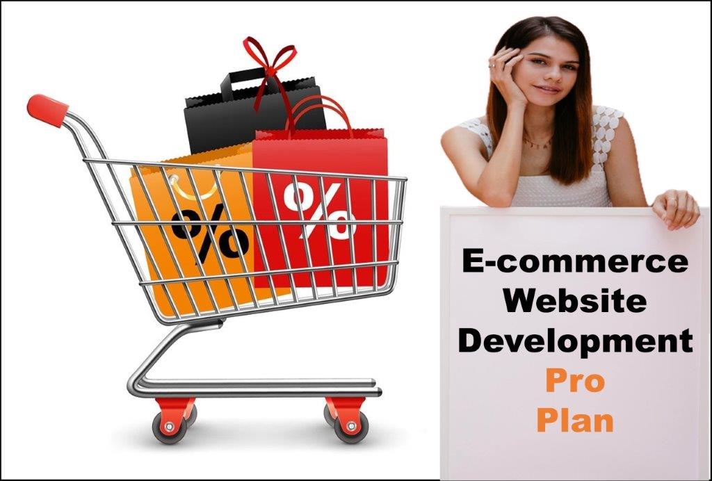professional ecommerce website development agency in Sacramento California