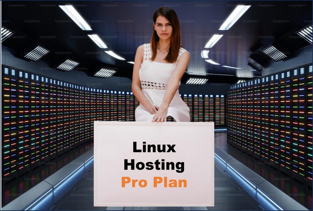 linux hosting windows hosting provider in Sacramento California