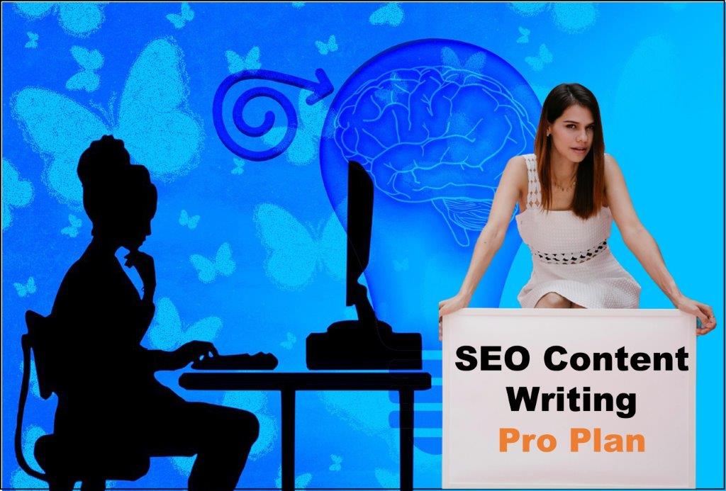 seo content writing agency Sacramento California