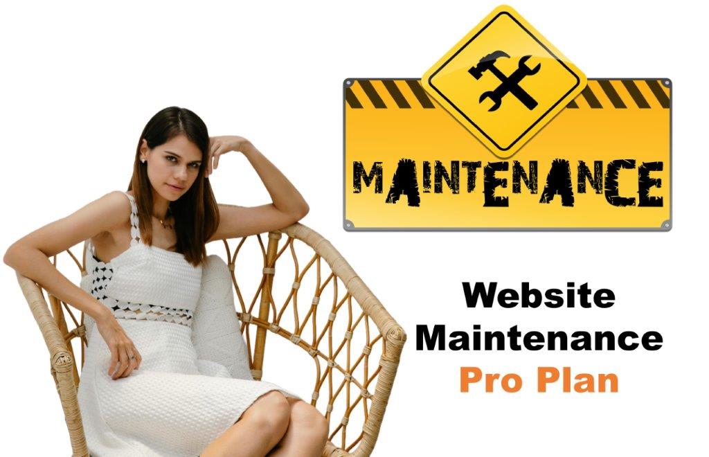 website maintenance agency in Sacramento California