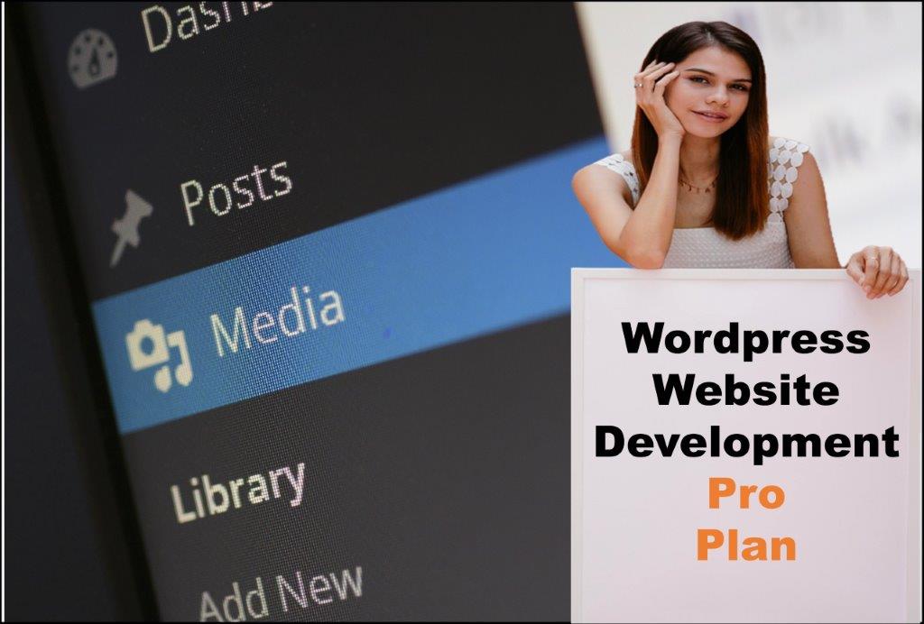 wordpress website designing in Sacramento California